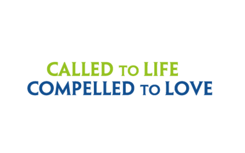 Diocesan Visual Identity Gets a Fresh New Look