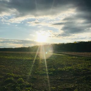 An Easter Message From Bishop Susan