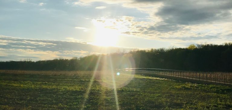 An Easter Message From Bishop Susan
